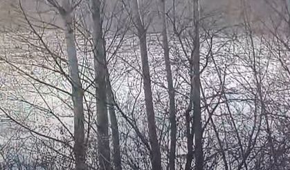 Yozgat'ta Dere Taştı, Tarım Arazileri Sular Altında Kaldı