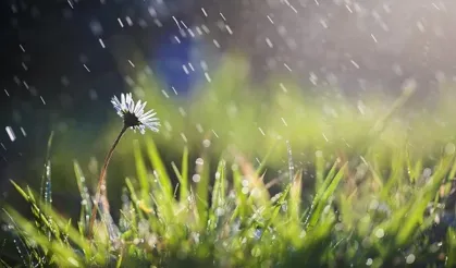 Nisan yağmuru hangi günlerde toplanır? Nisan yağmuru suyu şifalı mı? Nisan yağmuru suyu içilir mi?