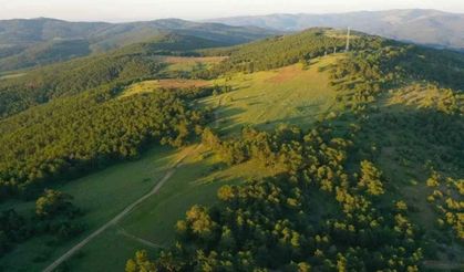 Yozgat'ın Şanssız İlçesi Hangisi?