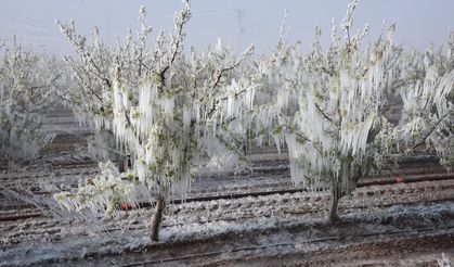 Bakanlık'tan çiftçilere kritik zirai don uyarısı! O tarihe kadar sürecek