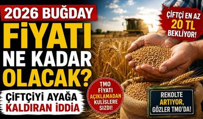 2026 Buğday Fiyatı Ne Kadar Olacak? Çiftçiyi Ayağa Kaldıran İddia