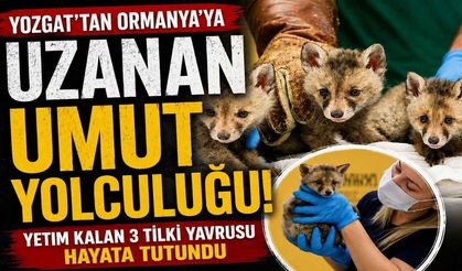 Hayata İkinci Şans: Yozgat’tan Ormanya’ya Uzanan Umut Yolculuğu
