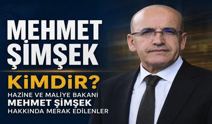 Mehmet Şimşek kimdir? Hazine ve Maliye Bakanı Mehmet Şimşek kaç yaşında, nereli?