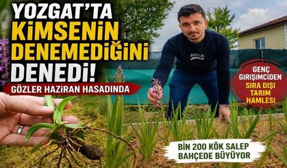 Yozgat'ta Kimsenin Denemediğini Denedi! Gözler Haziran Hasadında