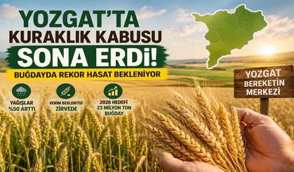 Yozgat'ta Kuraklık Kabusu Sona Erdi! Buğdayda Rekor Hasat Bekleniyor