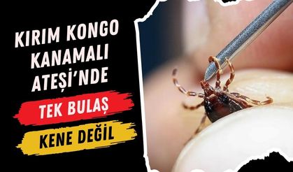 Kırım Kongo Kanamalı Ateşi'nde Tek Bulaş Kene Değil!