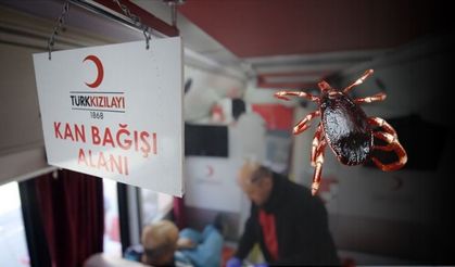 Yozgat Bozok Üniversitesi Doktorundan KKKA İçin Kan Bağış Çağrısı