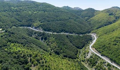 Yozgat'taki Şebek Geçidi Yeşilin Her Tonuyla Büyülüyor