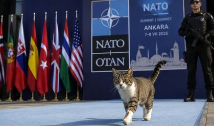Ne Korumalar Ne Kameralar Onları Durduramadı: NATO Zirvesinde Beklenmedik Misafirler