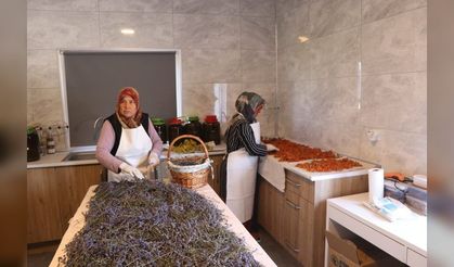 Emekli öğretmen sınıfı bahçeyle değiştirdi: Meşe fıçılarda doğal sirke üretip kadınlara iş kapısı açtı