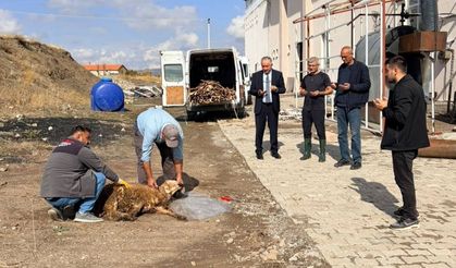 Yozgatlı Başkan Duyurdu: Çiğdemli’de Yeni Hizmet Noktası Açıldı