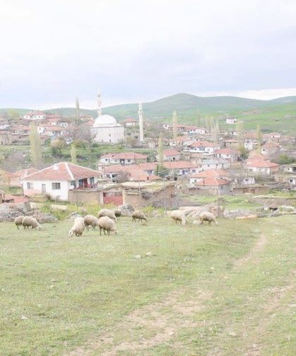 KÖY SAYISI BAKIMINDAN BÜYÜKŞEHİRLERİN ÖNÜNDEYİZ