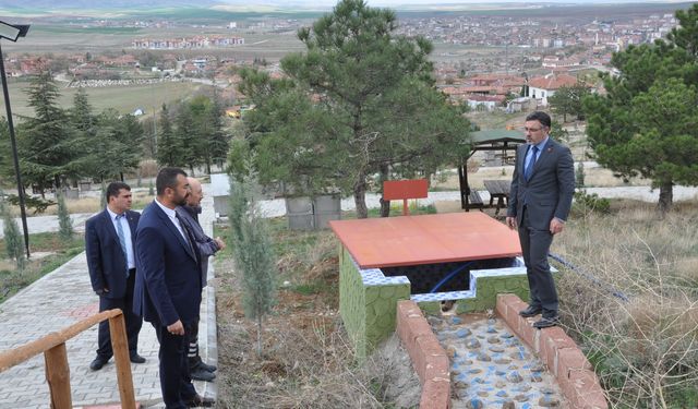 Başkan Arslan, Kale Çamlık mesire alanında inceledi
