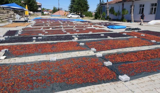 BOZKIRDAN UZAK DOĞU’YA İHRACAT