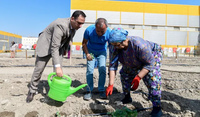 İzmir Bornova'da Kent Bostanları yaygınlaşıyor