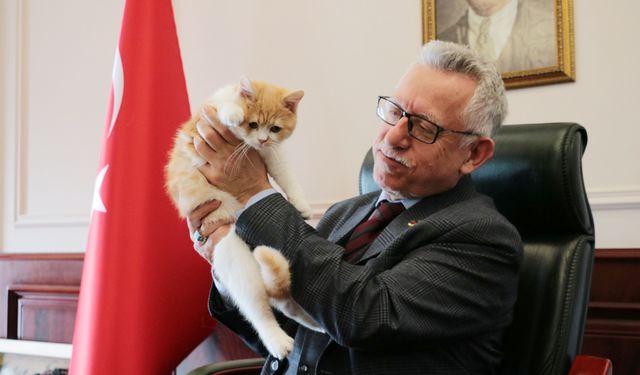 Yozgat Belediyesi’nden sahipsiz kedilere sıcak yuva
