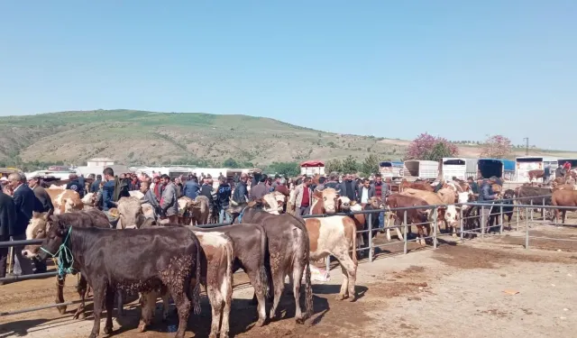 Yozgat Köylerinde Kurbanlık Satışları Başladı