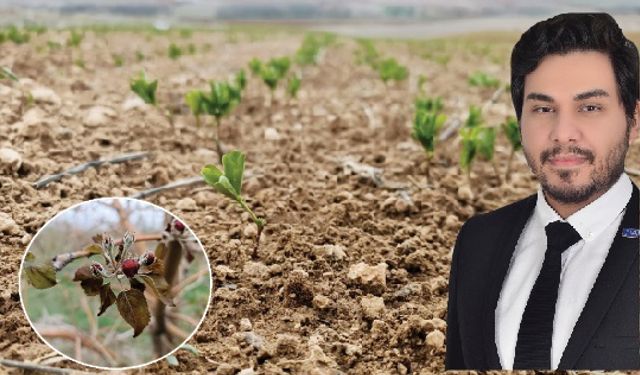 ÇİFTÇİLERİN YIL BOYU VERDİĞİ EMEK  BİR GECEDE KÜL OLDU!