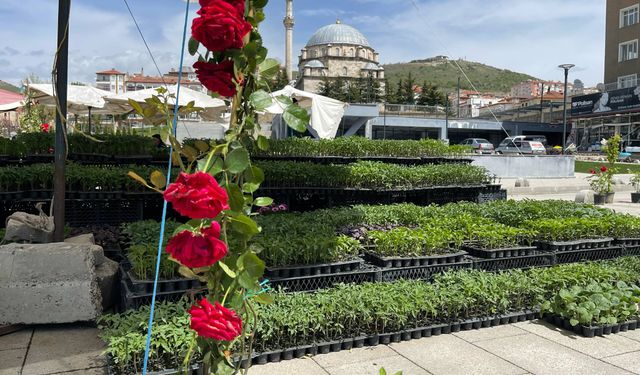Baharın Müjdecisi Sebze Fideleri  Tezgahlarda