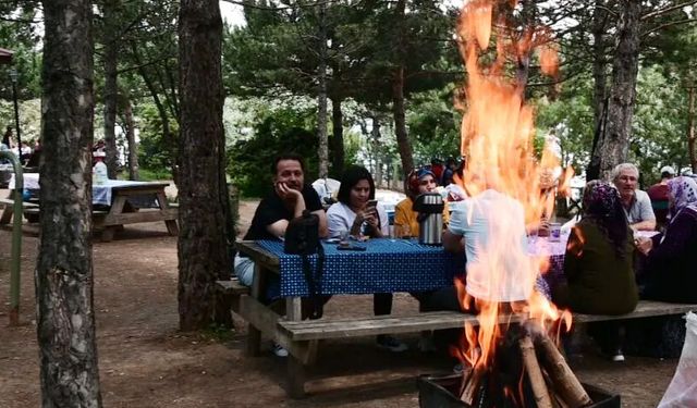 Piknik yapılacak  ateş yakılmayacak