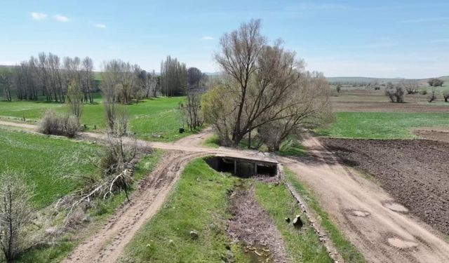 Yozgat'ta Şeker Pancarı Üreticisi Sendikalaşmak İstiyor