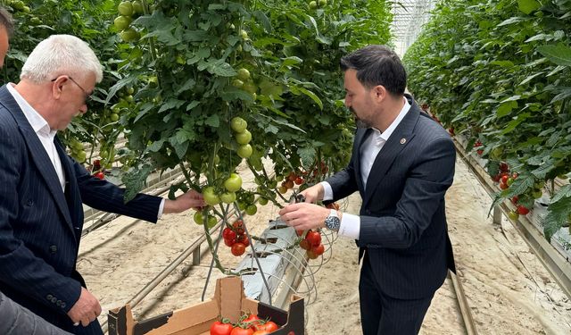 JEOTERMAL ENERJİ  TARIM İLE BULUŞTU ÜRETİM ARTTI  İSTİHDAM SAĞLANDI