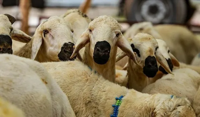 HER KURBAN LÖSEMİLİ ÇOCUKLARA CAN