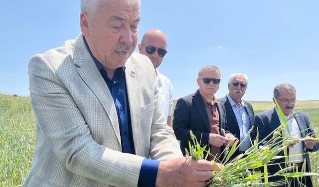 'Çiftçiye acil destek şart!'
