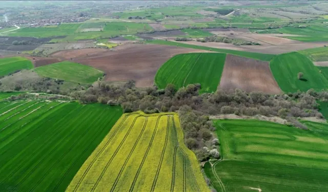 Yozgat'ta Yatırım Şansı: Sorgun'daki Arsa İçin Bu Rakam İstendi