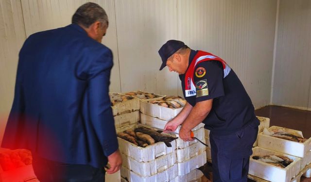 Yasa Dışı mı, Yasal mı? Sessiz Denetimin Jandarma Teyakkuzda