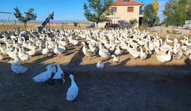 Yozgatlı Girişimci 5 Kazla Başladı, Üretimi 850’ye Çıkardı