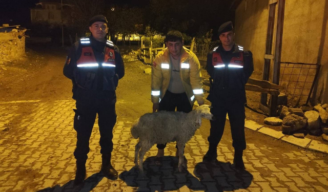 Jandarma Uyardı: “Kaybı Önlemek İçin Bilgileri Güncel Tutun”