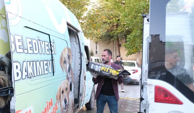 Sorgun Belediyesi Sokak Canları İçin kolları Sıvadı