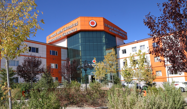 Sorgun MYO’da Voleybol Turnuvası Heyecanı Başlıyor!