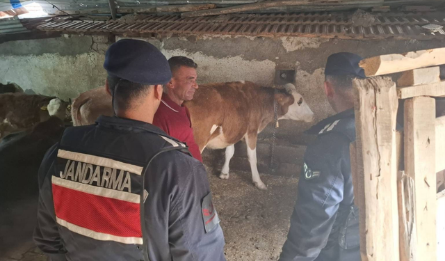 Vatandaşın Yardım Çağrısına Hızlı Müdahale