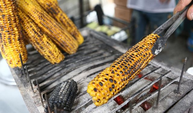 Süt Mısır Seçerken Tazeliğini Anlamanın 5 Etkili Yolu