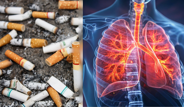 Akciğer Kanseri ve Sigara Bağımlılığı Konferansı YOBÜ’de Düzenlenecek