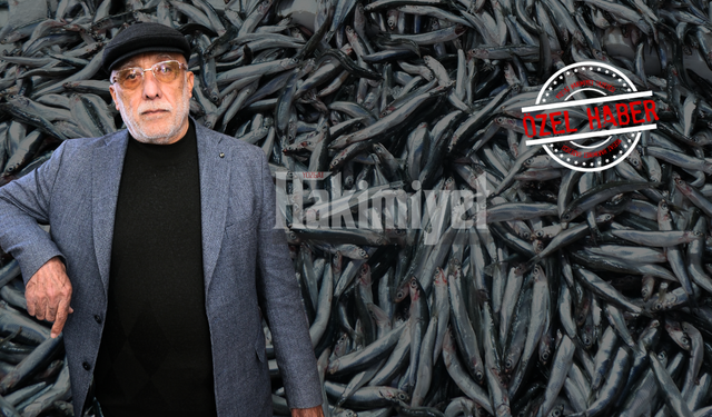 Yozgat’ta Hamsi Fiyatı Şaşırttı: Esnaf Sebebi Karadeniz Dedi!