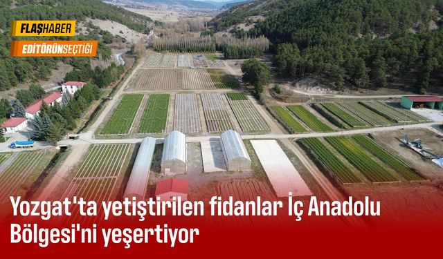 Yozgat'ta yetiştirilen fidanlar İç Anadolu Bölgesi'ni yeşertiyor