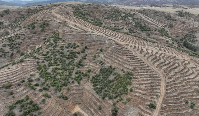 Yozgat'ta Çekerek Nehri Havzası Rehabilitasyon Projesi Kapsamında 186 Aileye 41,5 Milyon Lira Hibe Desteği