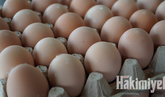 Fiyatlar yine gündemde: Yozgat’ta yumurta etiketlerinde herkesi şaşırtan değişkenlik