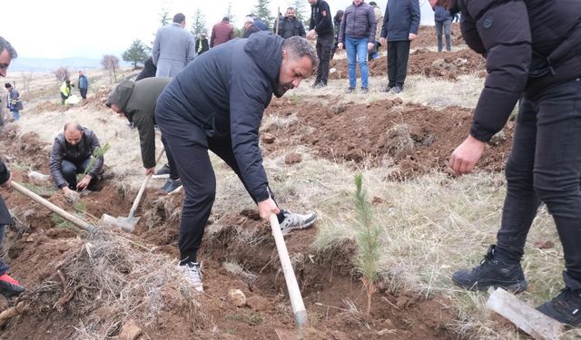 Sorgun’da Yeşil Vatan Seferberliği : Geleceğe miras olacak çalışma sahada yürütülüyo