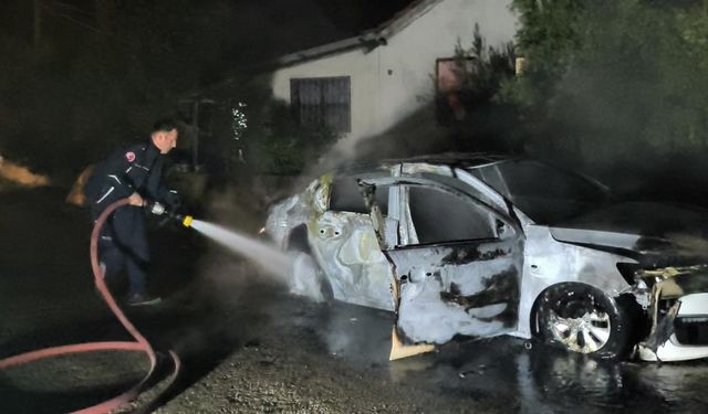 Park halindeyken alev alan araç küle döndü