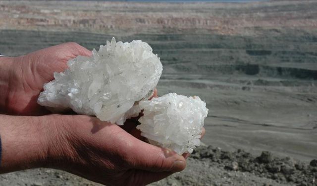 Prof. Dr. Hamdi Temel’den Tarıma Hayati Uyarılar: Toprağın Sessiz Gücü