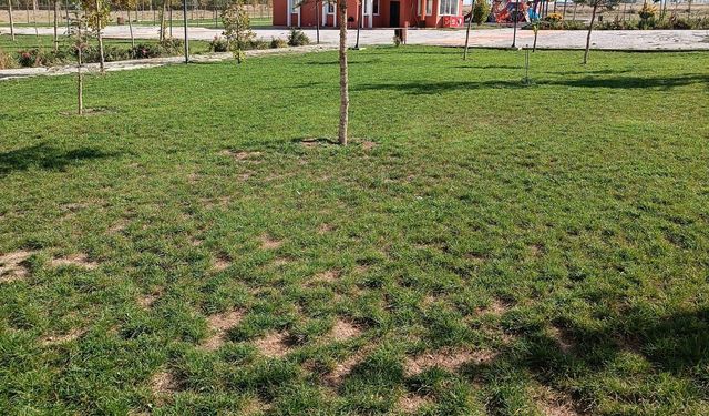 Boğazlıyan’da Çevre Yatırımları 2025’te Hız Kesmiyor