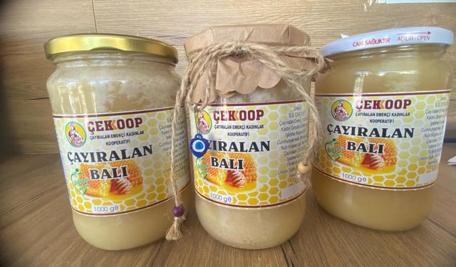 Çayıralan Balları ÇEKOOP Tezgahlarında Satışa Sunuldu