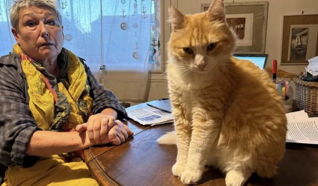 Dünyada Bir İlk Kediye Ev Hapsi!