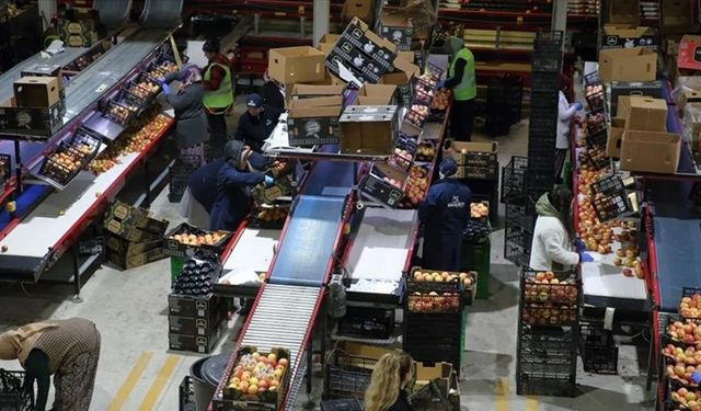 Dünyaya meyve satıyordu, mali kriz vurdu! Türk gıda devi iflasın eşiğinde