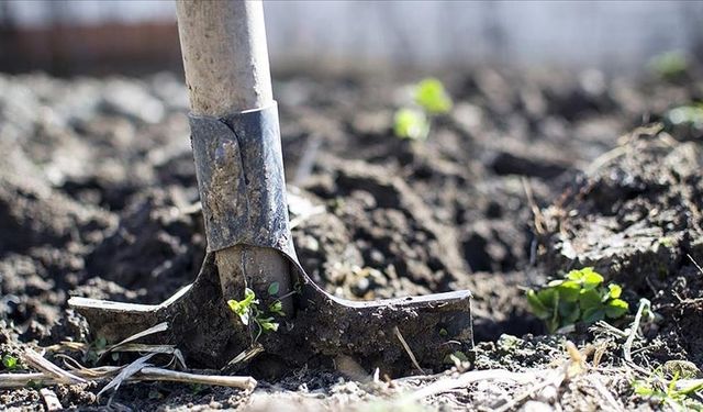 Kuraklıkla Mücadelede Yozgatlı Çiftçilere Organik Gübre Uyarısı