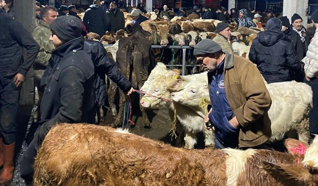 Yozgat'ta Uzun Zamandır Yaşanmayan Canlılık Sorgun'da Yaşandı